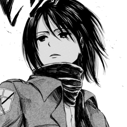 Mikasa_profile_picture